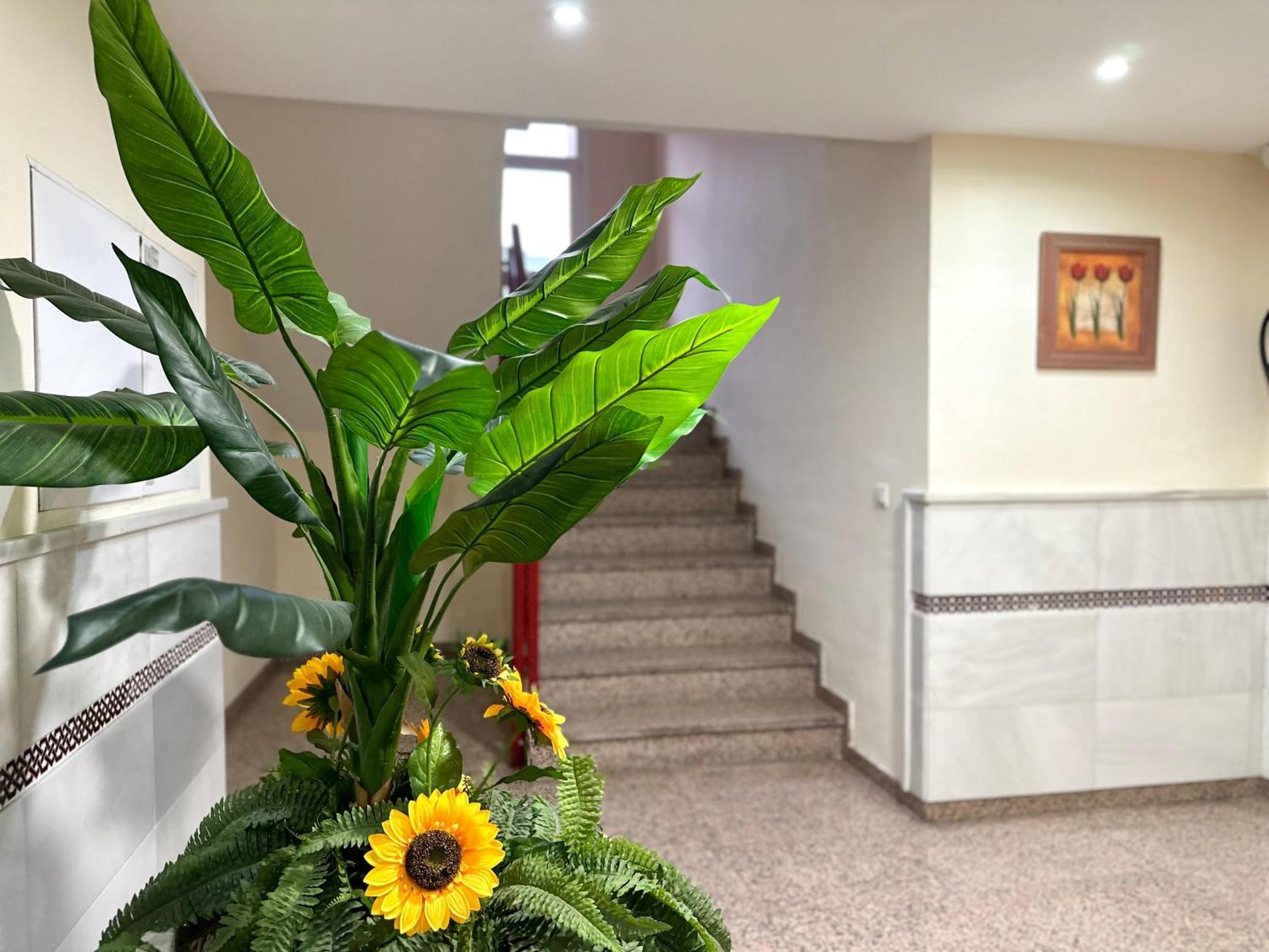 Studio In Costa Del Sol, Sea, Sunshine & Views Fuengirola Exterior foto